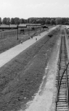 La esplanada de Birkenau